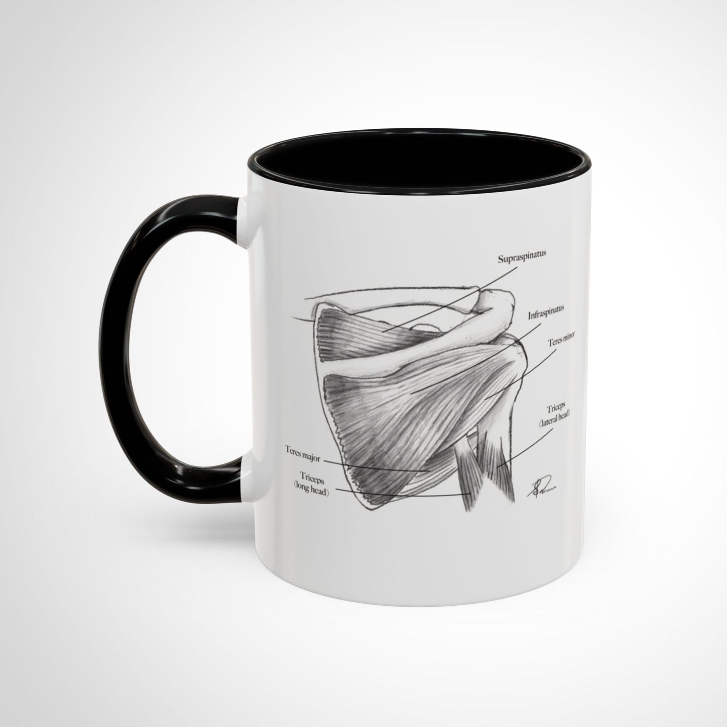 This Is My Rotary Cup | Funny PT gift | OT Gift | Rehab Gift | 11 oz mug